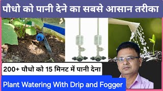 Drip and Foggers The Ultimate Guide to a Perfect Garden [upl. by Annekim]