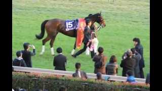 ジェンティルドンナ 第３２回ジャパンカップGI優勝 Gentildonna [upl. by Mialliw]