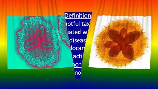 Actinobacillus actinomycetemcomitans [upl. by Rhine]