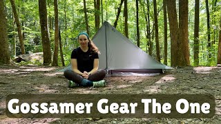 Gossamer Gear The One First Impressions and Setup  Is This Tent Worth Buying [upl. by Trakas177]