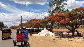 Kreuzfahrt Indischer Ozean Madagaskar Antsiranana [upl. by Beaston]