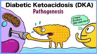 Diabetic Ketoacidosis DKA Pathogenesis [upl. by Niak495]