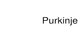 How to pronounce Purkinje [upl. by Nitsruk]