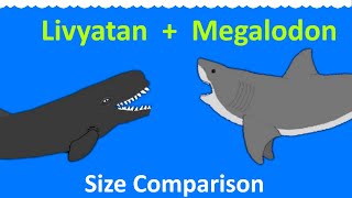 Livyatan and Megalodon  Animated Size Comparison  extinct whale and shark Sea Monsters [upl. by Woll]