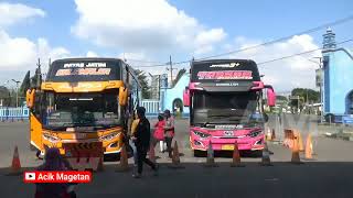 detik detik Bus STJ TASSAE amp STJ Kalamalka masuk terminal maospati magetan  sudiro tungga jaya [upl. by Jeunesse565]