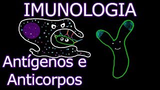 Aula Imunologia  Antígenos e Anticorpos  Imunologia 7 [upl. by Consolata834]