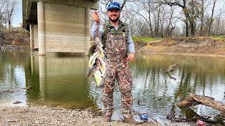 Crappie Fishing From The Bank Catch Clean Cook They Were STACKED [upl. by Conger]