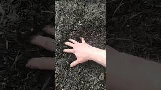 Wet Clay to Soil in Less Than a Year [upl. by Nimzay]