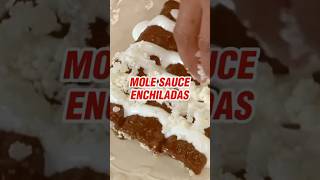 Mole Sauce Enchiladas [upl. by Ennahgem]