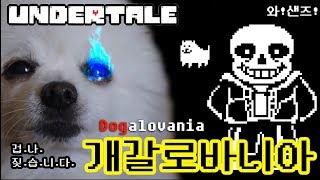 언더테일 메갈로바니아 강아지 리믹스  샌즈전 브금 Megalovania  샌즈 노래 [upl. by Enajyram]