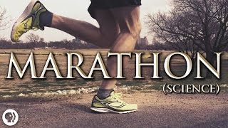 The Science of Marathon Running [upl. by Llenel219]