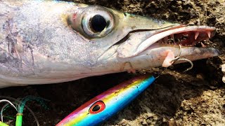 Jigging on rock jetty on a low fish activity day  ultra light fishing  shore casting [upl. by Sices]