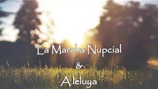 Marcha Nupcial y Aleluya instrumental Piano y cello [upl. by Neelloc81]