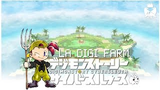 La DIGI FARM  Un guide en FRANÇAIS [upl. by Suneya465]