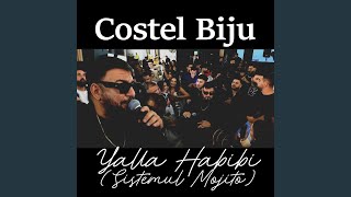 Yalla Habi Sitemul Mojito [upl. by Yeniffit]