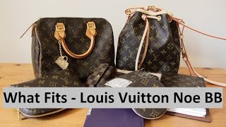 Louis Vuitton Noe BB vs Speedy 25  Yuenny Lam [upl. by Erdreid49]