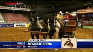 Mesquite Rodeo [upl. by Irv761]