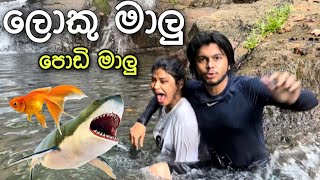 ලොකු මාලු පොඩි මාලු 🐟🐠  Dev amp Hash  Devnaka Porage  Hashini Wedanda [upl. by Naryb]