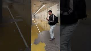 Disgusting Leak At Paris Metro [upl. by Zeena61]