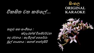 Vikasitha Watha Kamaleවිකසිත වත කමලේKARAOKE Sanath NandasiriCamilus PereraClarence Wijewardhana [upl. by Noneek101]