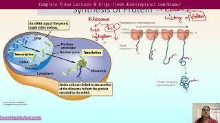 Mechanism of Sorting and Regulation in Intracellular Transport  CSIR Life Sciences [upl. by Jeunesse]