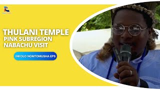 THULANI TEMPLE PINK SUBREGION NABACHU VISIT INKOLO NOMTOMUSHA EP5  SHEMBE AMANAZARETHA [upl. by Stuart330]