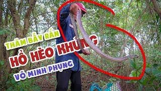 Võ Minh Phụng  Thăm Bẫy Trúng Con Rắn Hổ Khủng [upl. by Oicirtap]