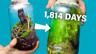 I Made a Free Terrarium 1814 Days Ago How Is It [upl. by Merc]