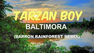 Baltimora  Tarzan Boy Barron Rainforest Remix [upl. by Settera220]