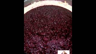 Vinification en rouge  macération [upl. by Emili]