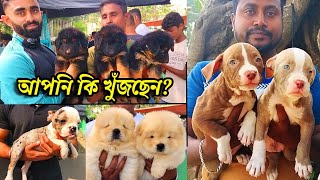 dog market in kolkata  pet market  Serampore Pet Market Kolkata  Recent Dog Puppy Price Update [upl. by Melentha238]