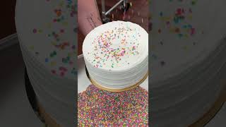 3 Colorful Layers of our Confetti Cake [upl. by Nenad539]