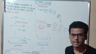 Construction Of Cdna Library  GenomicBioscience  Synthesis Of Cdna [upl. by Brezin577]