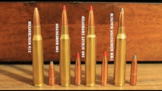 270 vs 280 vs 280 Ackley Improved vs 7mm Rem Mag What You Should Know [upl. by Cecilius426]