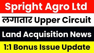 Best Company For Investment in 2025  Spright Agro Share Ltd  Spright Agro Ltd Detailed Analysis [upl. by Shara]