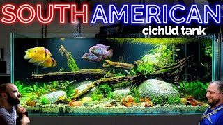 The South American Cichlid Aquarium EPIC 4ft Planted Tank Aquascape Tutorial [upl. by Dabbs]