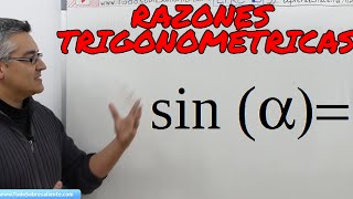 Funciones trigonométricas conceptos básicos [upl. by Vladi]