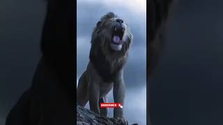 Lion king facts animalfacts रोचकfacts animalknowledge [upl. by Whetstone]