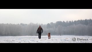 Doniu  Przestrzeń akustycznie fragment Nowy Rok nowe możliwości [upl. by Amathist714]