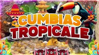 ✨TROPICALES MIX PARA BAILAR EXITOS🌴CUMBIAS TROPICALES 2024🍉ACAPULCO TROPICAL TROPICAL FLORIDA [upl. by Rimahs]