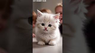 Kitten’s Acne Trouble at School😹 Cute Cat Kitten [upl. by Butler84]