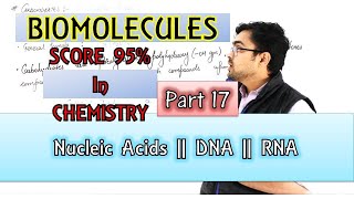 Biomolecules  Nucleic Acid  DNA  RNA  By Mrityunjay Sir  Part 17 [upl. by Esaertal]