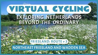 Fietsroute NoordoostFriesland en Waddenzeegebied  Virtueel Fietsen [upl. by Tronna597]