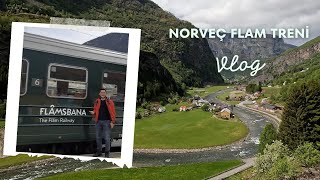 Norveçte Eşsiz Bir Tren Yolculuğu Flåmsbana [upl. by Fayette]