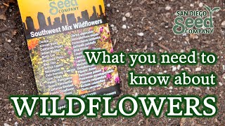 Wildflowers in the garden  Starting seeds amp growing tips [upl. by Artekal]