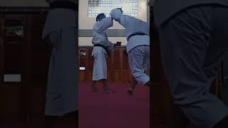 shorinjikempo technique [upl. by Flessel561]