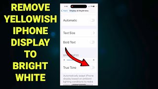 🛠 How to Make Your iPhone Display Bright White  Quick amp Easy Fix [upl. by Halsey]