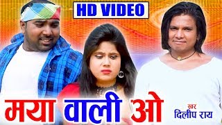 Dilip Ray  Cg Song  Maya Wali O  New Chhattisgarhi Geet  HD Video 2019  AVM STUDIO RAIPUR [upl. by Anaik491]