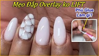 Mẹo đắp Overlay không Lift và Design da cá  Tinh Yeu Nails [upl. by Gage]