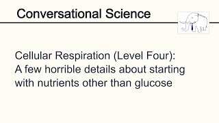 Cellular Respiration Level Four Nutrients other than glucose [upl. by Parish114]